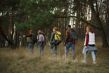 Image showing Group of friends on a camping or hiking trip in autumn day