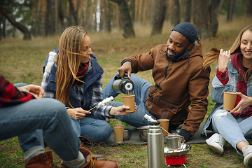 Image showing Group of friends on a camping or hiking trip in autumn day