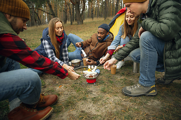 Image showing Group of friends on a camping or hiking trip in autumn day