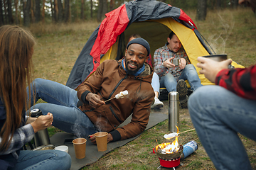 Image showing Group of friends on a camping or hiking trip in autumn day