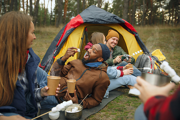 Image showing Group of friends on a camping or hiking trip in autumn day