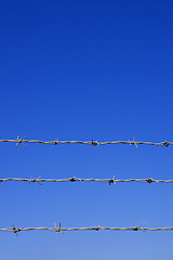 Image showing Barbed wire fence detail