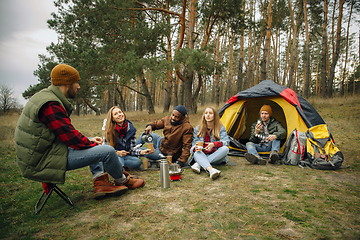 Image showing Group of friends on a camping or hiking trip in autumn day