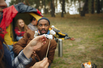 Image showing Group of friends on a camping or hiking trip in autumn day