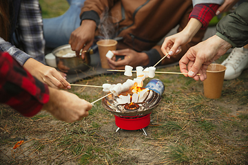 Image showing Group of friends on a camping or hiking trip in autumn day