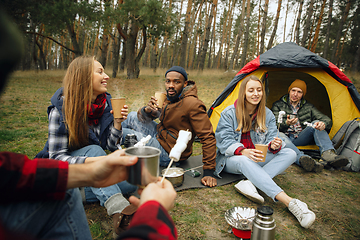 Image showing Group of friends on a camping or hiking trip in autumn day