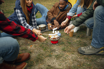 Image showing Group of friends on a camping or hiking trip in autumn day