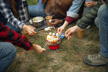 Image showing Group of friends on a camping or hiking trip in autumn day