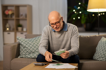 Image showing senior man counting money at home