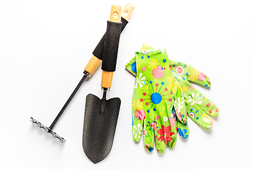 Image showing Garden tools with garden gloves on white background