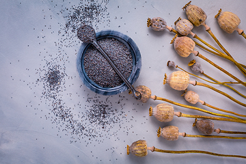 Image showing Bunch of poppy heads and bowl with seeds on kitchen table