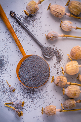 Image showing Bunch of poppy heads and bowl with seeds on kitchen table