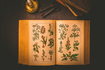 Image showing Old antique book with pictures of healing and poisonous plant with candle in vintage style 