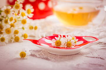 Image showing Chamomile herbal tea (Matricaria chamomilla) on kitchen table