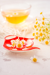 Image showing Chamomile herbal tea (Matricaria chamomilla) on kitchen table