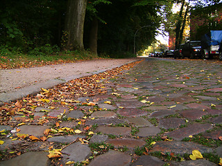 Image showing Stone roadway, yellow leaves.