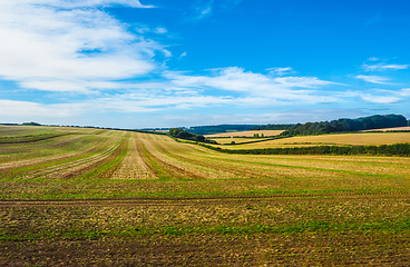 Image showing HDR English country panorama in Salisbury