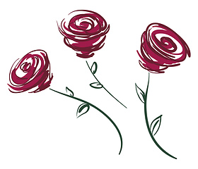 Image showing Three red roses vector or color illustration