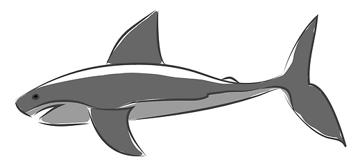 Image showing A blue shark in jumping out of water vector or color illustratio