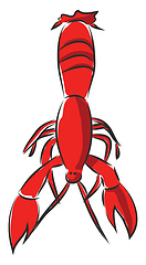 Image showing Red crayfish vector illsutration on white background.