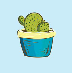 Image showing Indoor cactus decoration plant in a blue pot provides extra styl