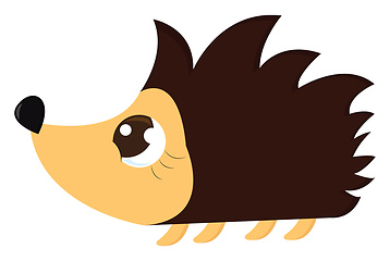 Image showing Cute brown and yellowe hedgehog vector illustration on white bac