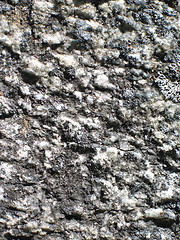 Image showing a dark grey rock close up background