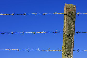 Image showing Barbed wire fence