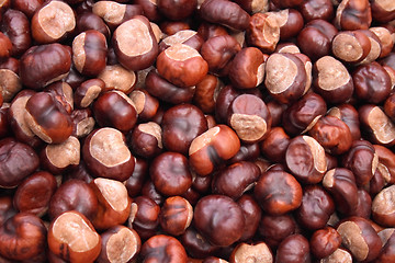 Image showing chestnuts background