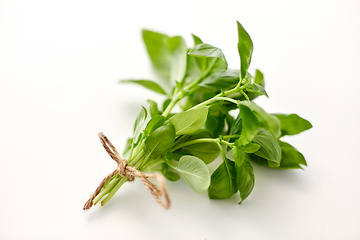 Image showing bunch of basil on white background