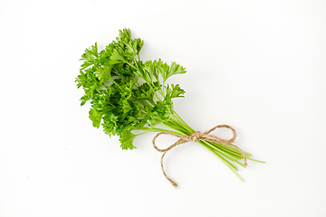 Image showing bunch of parsley on white background