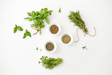 Image showing fresh and dry seasoning on white background