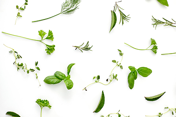Image showing greens, spices or herbs on white background