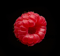 Image showing fresh raspberry macro