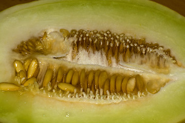 Image showing Melon 