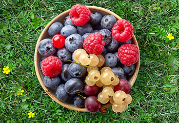 Image showing bowl of fresh berries