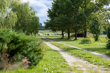 Image showing beautiful country road