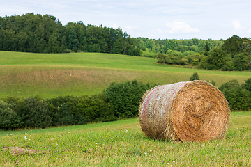 Image showing hay roll on the field