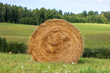 Image showing hay roll on the field