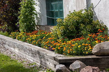 Image showing beautiful rustic flower bed