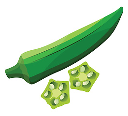 Image showing Green okra with light green okra slices vector illustration of v