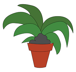 Image showing Home flower in a flowerpot illustration vector on white backgrou