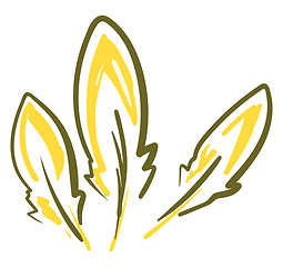 Image showing Painting of yellow and green feathers vector or color illustrati