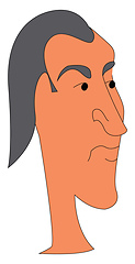 Image showing Portrait of a man with grey hair vector illustration on a white 