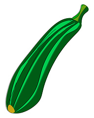 Image showing A zucchini vector or color illustration