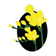 Image showing Vector illustration of yellow freesia flowers black circle on wh