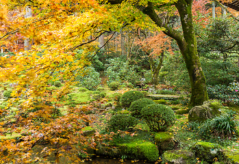 Image showing Japanese garden with autuman season