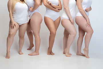 Image showing Portrait of beautiful plus size young women posing on white background