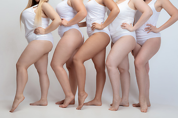 Image showing Portrait of beautiful plus size young women posing on white background