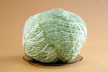 Image showing Green cabbage vegetable